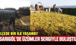 Sarıgöl'de üzümler sergiyle buluştu