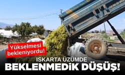 Iskarta üzüm piyasasında beklenmeyen düşüş! İbre tersine döndü