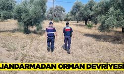 Aydın'da orman yangınlarına karşı kapsamlı denetim!