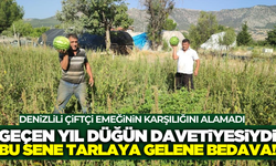 Fiyata isyan etti: Tarladan kendi toplayana "karpuz bedava" dedi