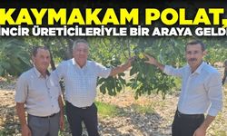 Kaymakam Polat'tan incir üreticilerine ziyaret