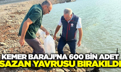 Kemer Barajı'na 600 bin sazan yavrusu bırakıldı