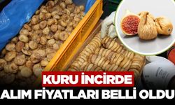 Kuru incir alım fiyatları belli oldu!