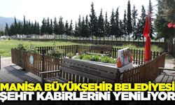 Manisa Büyükşehir'den şehit kabirlerini yenileme çalışması