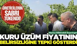 Başevirgen'den kuru üzüm fiyatına tepki!
