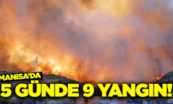 Manisa'da yangınlara hızlı müdahale!