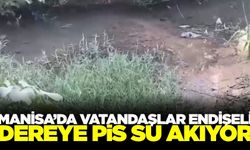 Manisa'da dereye akan pis su vatandaşları tedirgin ediyor