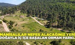 Doğa ile iç içe yeni sosyal alan: Başalan Orman Parkı