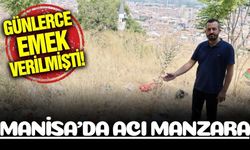 Manisa'da emekler boşa sayıldı!