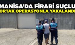 Manisa'da polis ve jandarmadan ortak operasyon