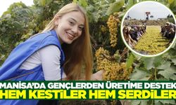 Manisa’da gençler üzüm bağında gönüllü hasat etkinliğinde buluştu