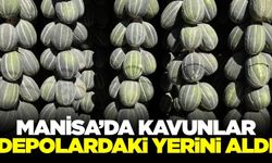 Manisa'da hasat edilen kavunlar geleneksel yöntemler ile depolanıyor