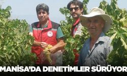 Manisa'da hasat öncesi denetimler devam ediyor