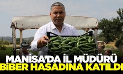 İl Müdürü Karayılan biber hasadına katıldı