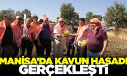 Kula'da Kaymakam Altuntaş'ın Katılımıyla Kavun Hasadı Gerçekleşti