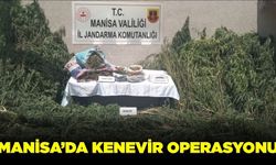 Gördes'te kenevir operasyonu