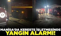 Manisa'da Kereste İşletmesinde Yangın Paniği