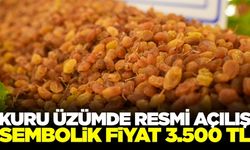 Manisa'da kuru üzüm sezonun açılışı yapıldı