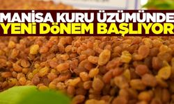 Manisa’da Kuru Üzümde MOSH ve MOAH Bulaşanları karşı savaş