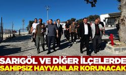 Manisa’da sahipsiz hayvanlar için eylem planı