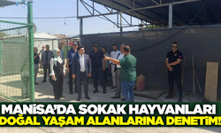 Manisa'da sokak hayvanları için kapsamlı denetim