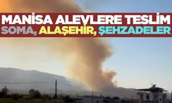 Manisa'da üç ilçede orman yangını