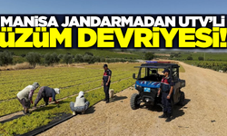 Manisa'da jandarma üzüm hırsızlarına göz açtırmıyor!