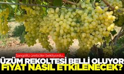 Manisa'da üzüm üreticilerinin gözü kulağı bu toplantıda