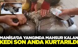Manisa'da ekipler yangında mahsur kalan kediyi kurtardı