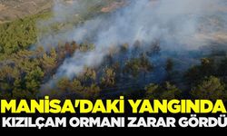 Manisa'da Yangın: 5 Hektar Kızılçam ormanı kül oldu
