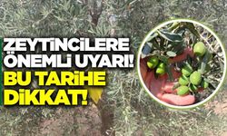 Manisalı zeytin üreticilerine uyarı!