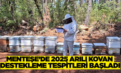 Menteşe'de kovan destekleme tespitleri başladı