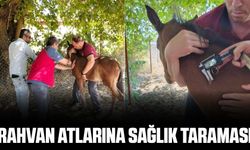 Menteşe’de rahvan atlarına Ruam testi