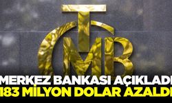 Merkez Bankası'ndan haftalık rezerv açıklaması geldi