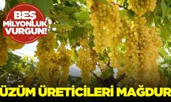 Her sene olduğu gibi bu senede oldu: Milyonlarca liralık dolandırıcılık!