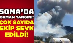 Manisa'nın Soma İlçesinde Kent Parkı Yakınlarında Yangın