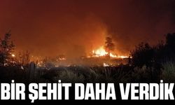 Orman yangını ile mücadelede 1 kişi şehit oldu