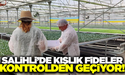 Salihli'de kışlık fide kontrolü başladı
