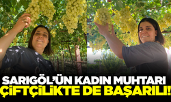 Sarıgöl'ün kadın muhtarı işini ve bağcılığı bir arada yürütüyor