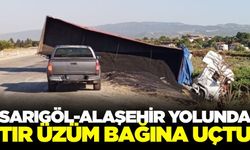 Sarıgöl-Alaşehir yolunda ziftli çakıl taşı yüklü tır üzüm bağına uçtu