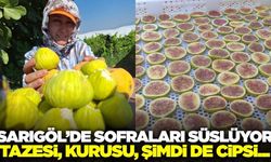 Sarıgöl'de sofraların yeni gözdesi incir cipsi oldu
