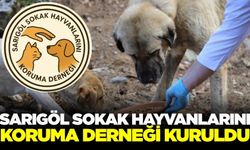 Sarıgöl’de Sokak Hayvanlarını Koruma Derneği Kuruldu