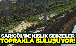 Sarıgöllü çiftçiler kışa hazırlanıyor!
