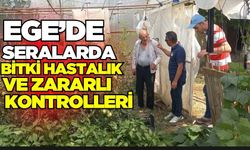 Ege'de seralarda kontroller tüm hızıyla devam ediyor!