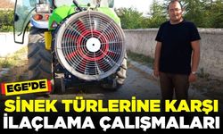 Ege'de sinek türlerine karşı ilaçlama devam ediyor