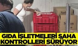 Söke'de gıda denetimleri sürüyor