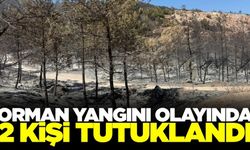 Soma'daki orman yangınıyla ilgili 2 kişi tutuklandı