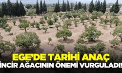 Ege'de iklim değişikliği sorununa çözüm bulundu!
