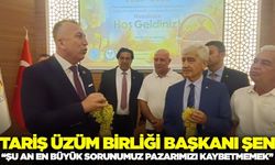 Üzüm Fiyatlarına Tepkiler Yükseliyor: TARİŞ Başkanı Şen, Pazar Sorununa Dikkat Çekti