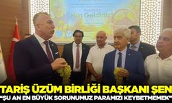 Üzüm Fiyatlarına Tepkiler Yükseliyor: TARİŞ Başkanı Şen, Pazar Sorununa Dikkat Çekti